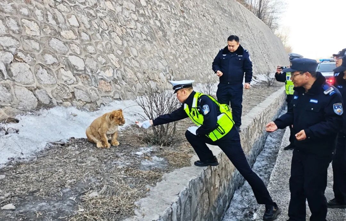 c4c45c3a-7def-4206-a817-07ff6cd24639